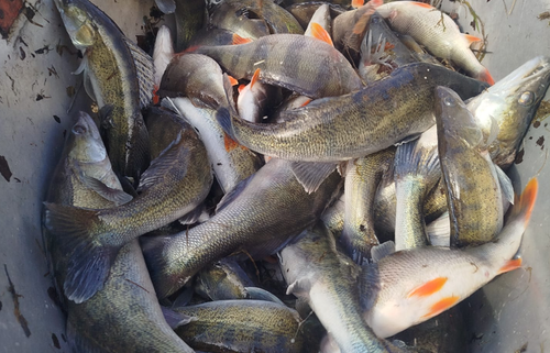 Snímek obrazovky 2026-04-10 135617.png